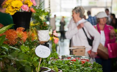 Halifax Farmers Market